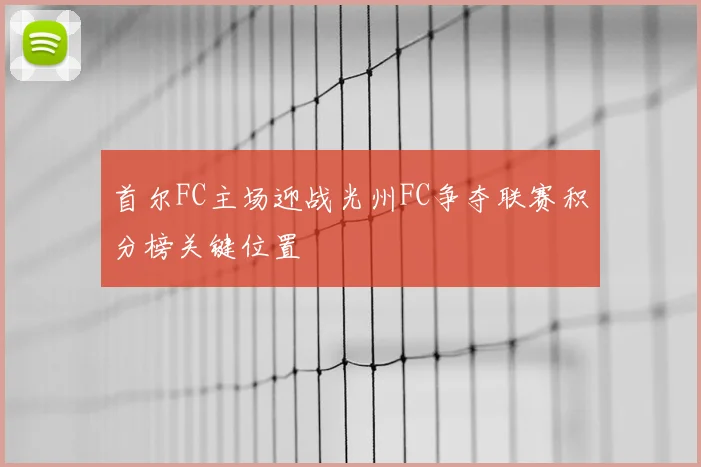 首尔FC主场迎战光州FC争夺联赛积分榜关键位置