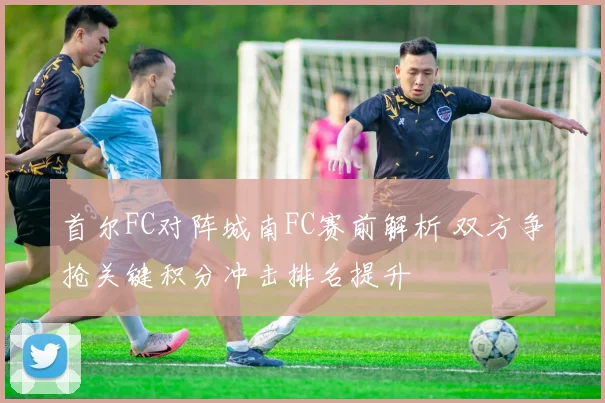 首尔FC对阵城南FC赛前解析 双方争抢关键积分冲击排名提升